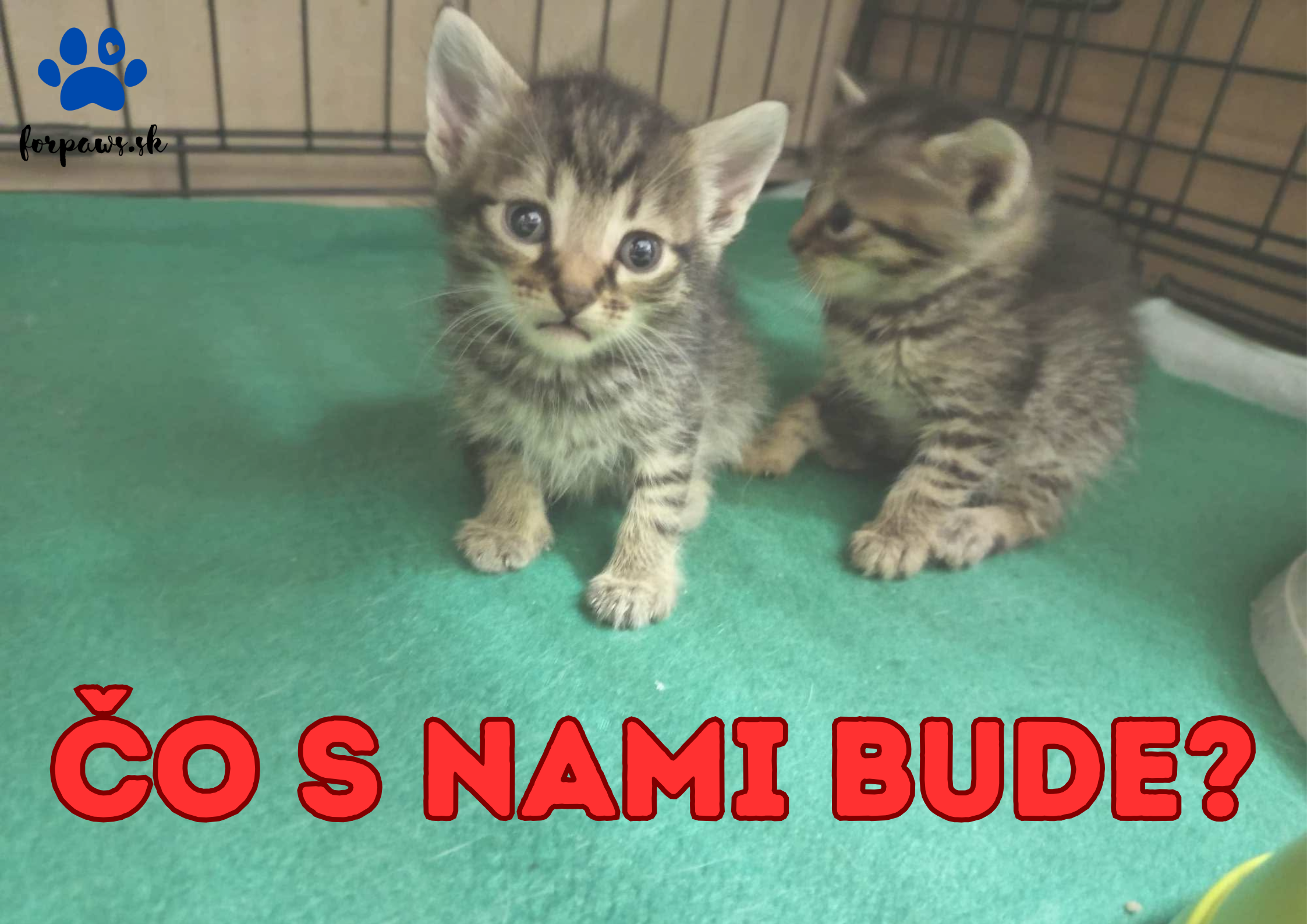 ČO S NAMI BUDE
